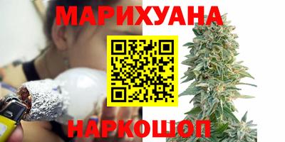 сатива Будённовск
