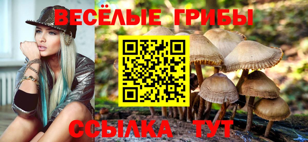 Сегежа  Псилоцибиновые грибы мухоморы  Вход с VPN  Галлюциногенные грибы мухоморы 