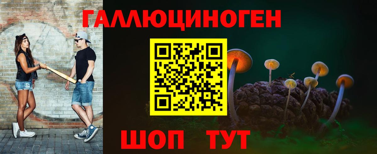 Галлюциногенные грибы прущие грибы Сегежа
